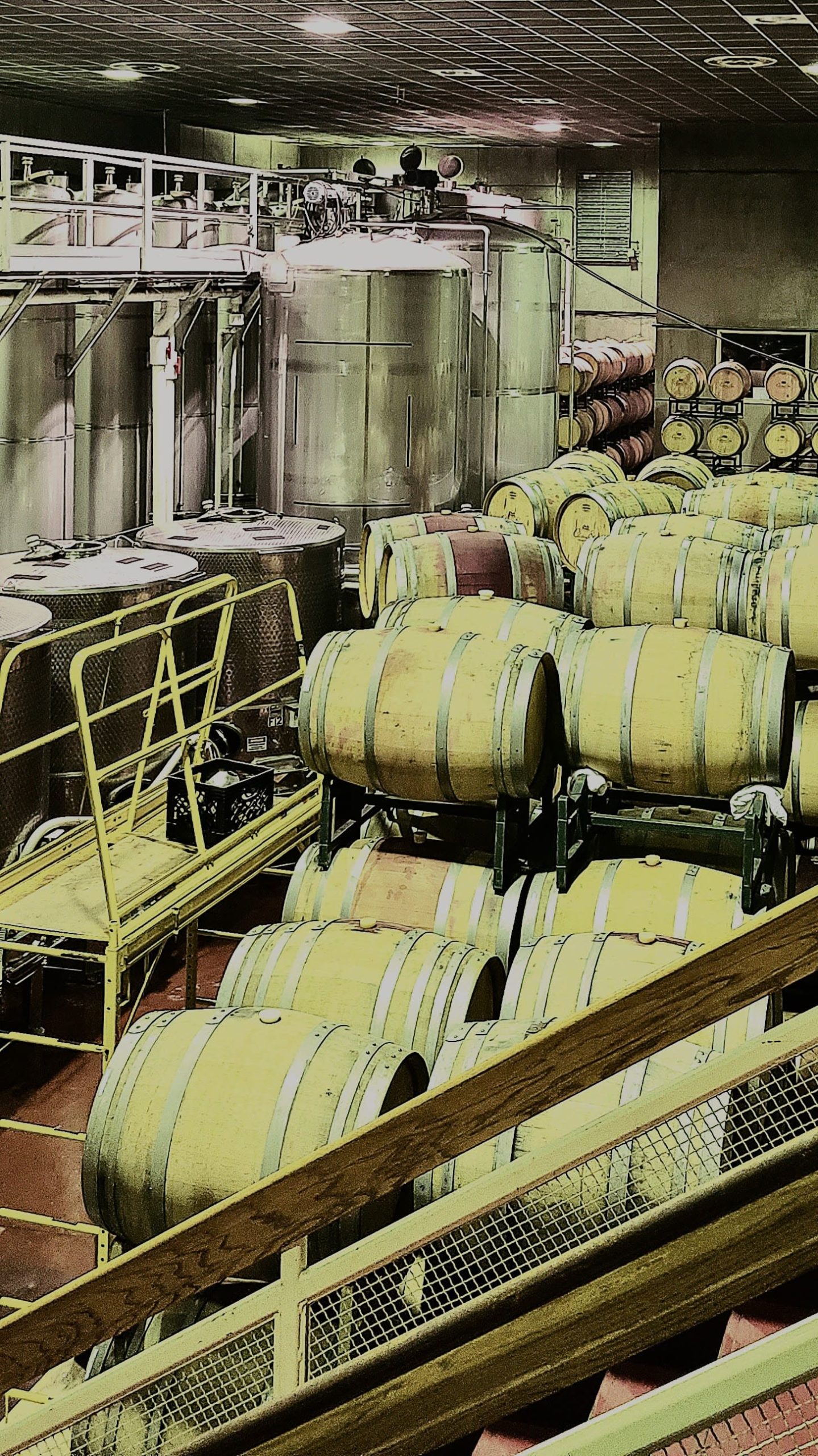 Inside pic of the winery